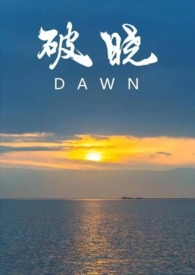 破晓小说简介